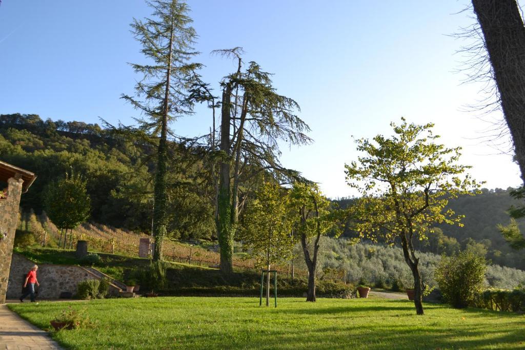 Agriturismo Lapone Orvieto Dış mekan fotoğraf